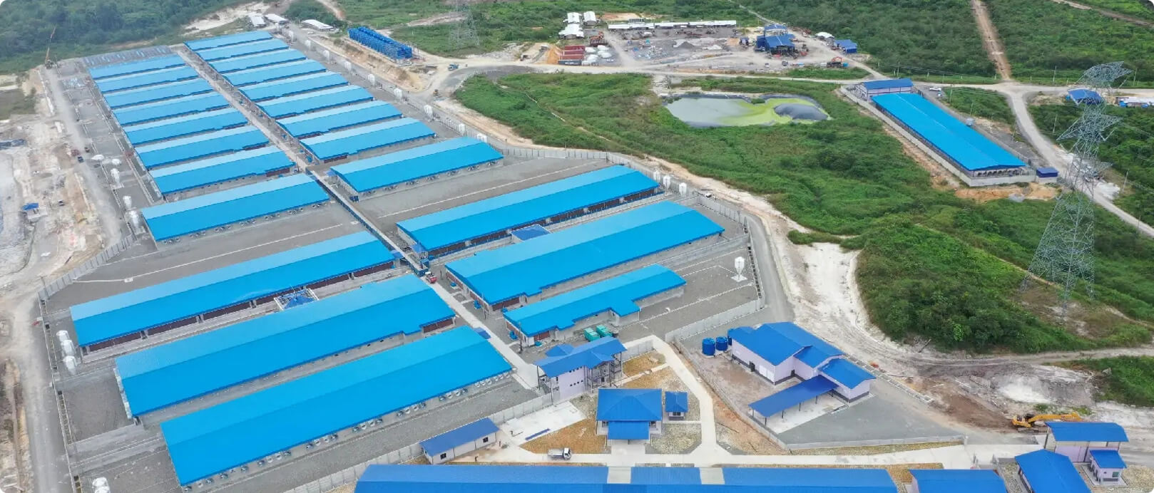 Dự &aacute;n trang trại 2.000 con lợn n&aacute;i của Malaysia