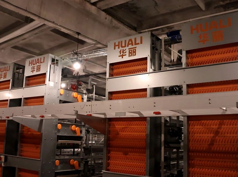 Dự &aacute;n chăn nu&ocirc;i g&agrave; đẻ trứng trong lồng của Nga