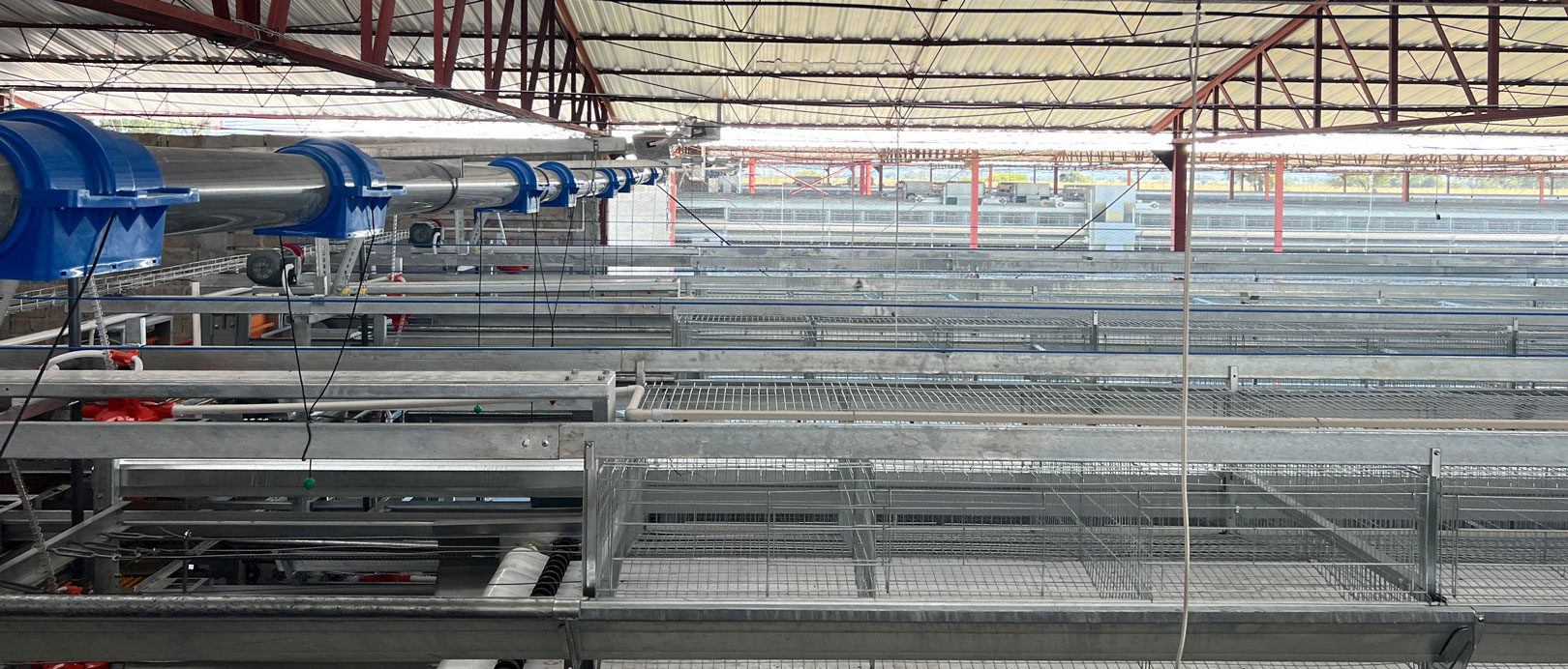 Dự &aacute;n chăn nu&ocirc;i g&agrave; đẻ trong lồng ở Mexico