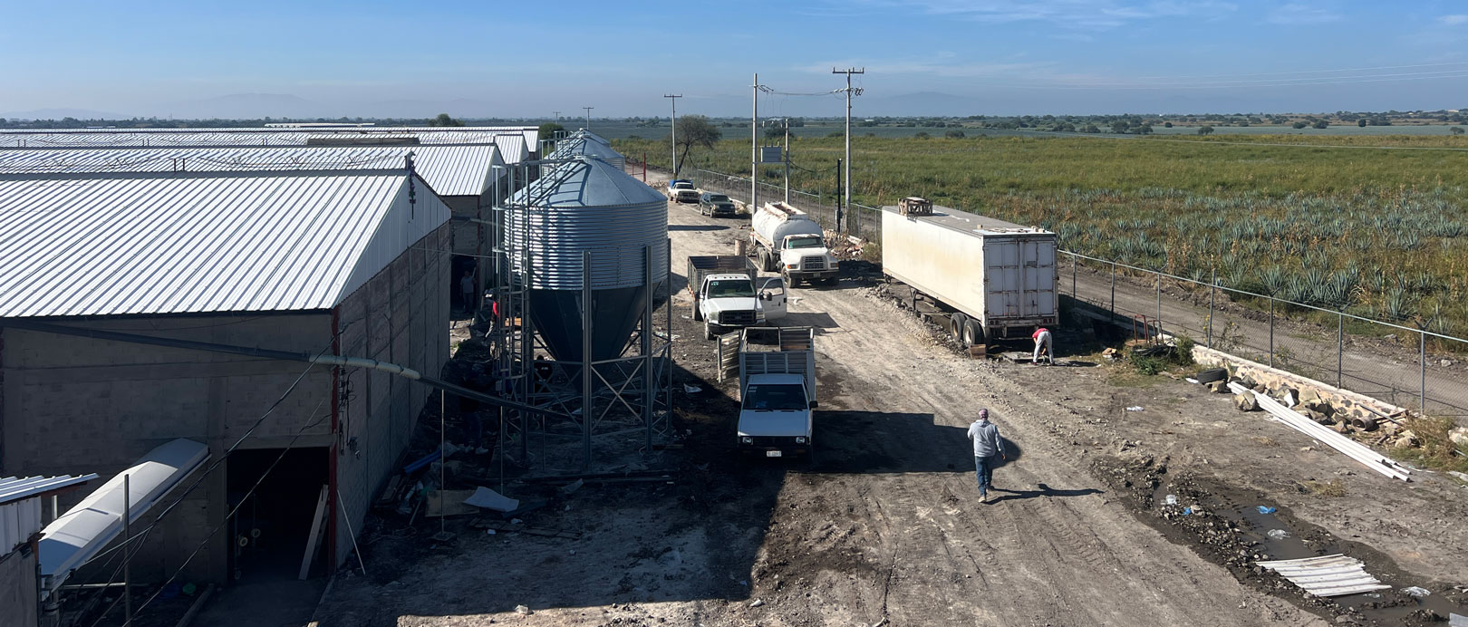 Dự &aacute;n chăn nu&ocirc;i g&agrave; đẻ trong lồng ở Mexico