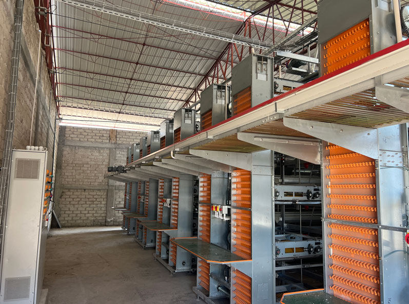 Dự án chăn nuôi gà đẻ trong lồng ở Mexico