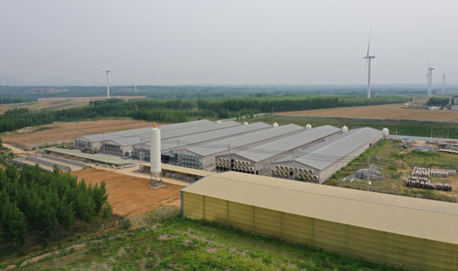Dự &aacute;n chuồng nu&ocirc;i g&agrave; đẻ trứng Thanh Đảo GaoTianRan
