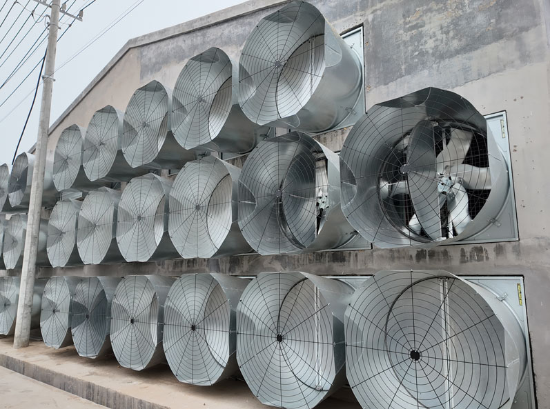 Dự án chuồng nuôi gà đẻ trứng Thanh Đảo GaoTianRan