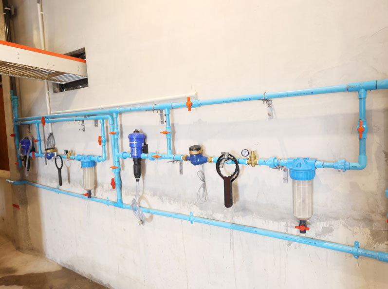 Dự án chăn nuôi gà đẻ trong lồng ở Thái Lan
