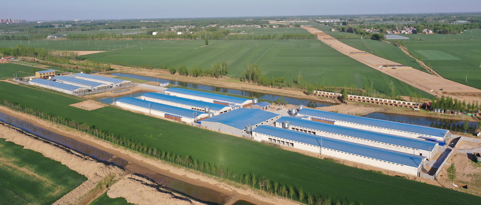 Dự &aacute;n nu&ocirc;i lồng lớp TianYuan