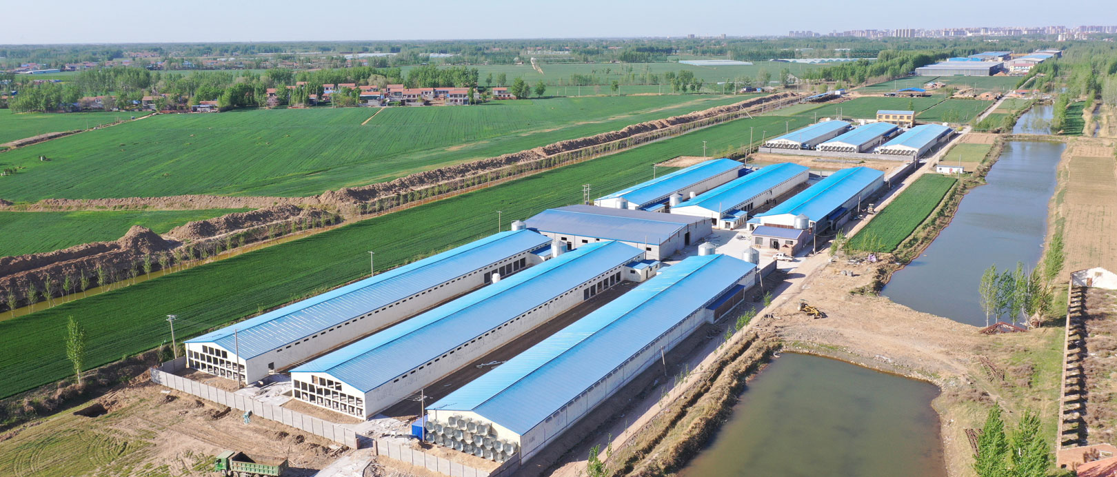 Dự &aacute;n nu&ocirc;i lồng lớp TianYuan