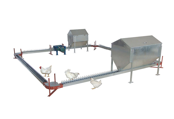 quản l&yacute; chăn nu&ocirc;i g&agrave; đẻ trứng