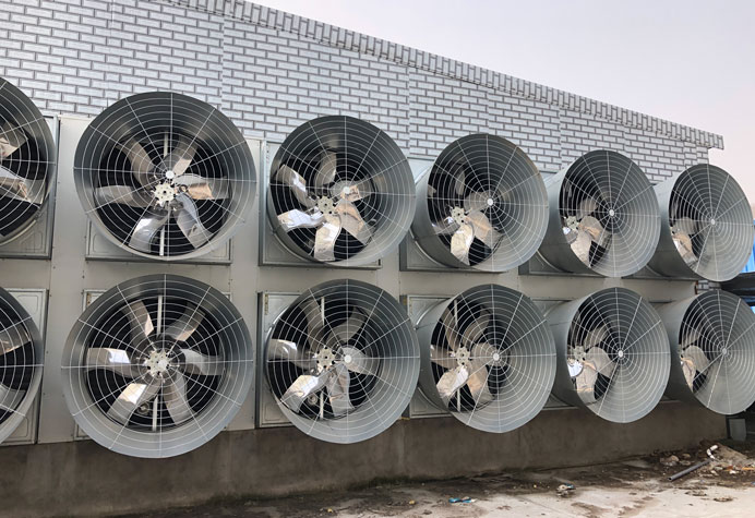 Kiểm so&aacute;t m&ocirc;i trường