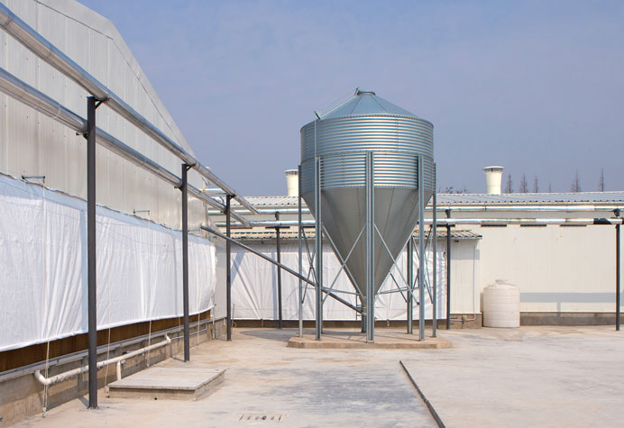 D&acirc;y chuyền cấp liệu