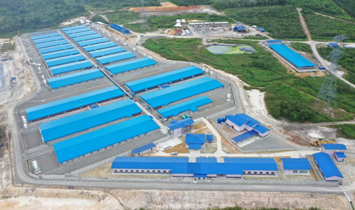 Dự &aacute;n trang trại 2.000 con lợn n&aacute;i của Malaysia