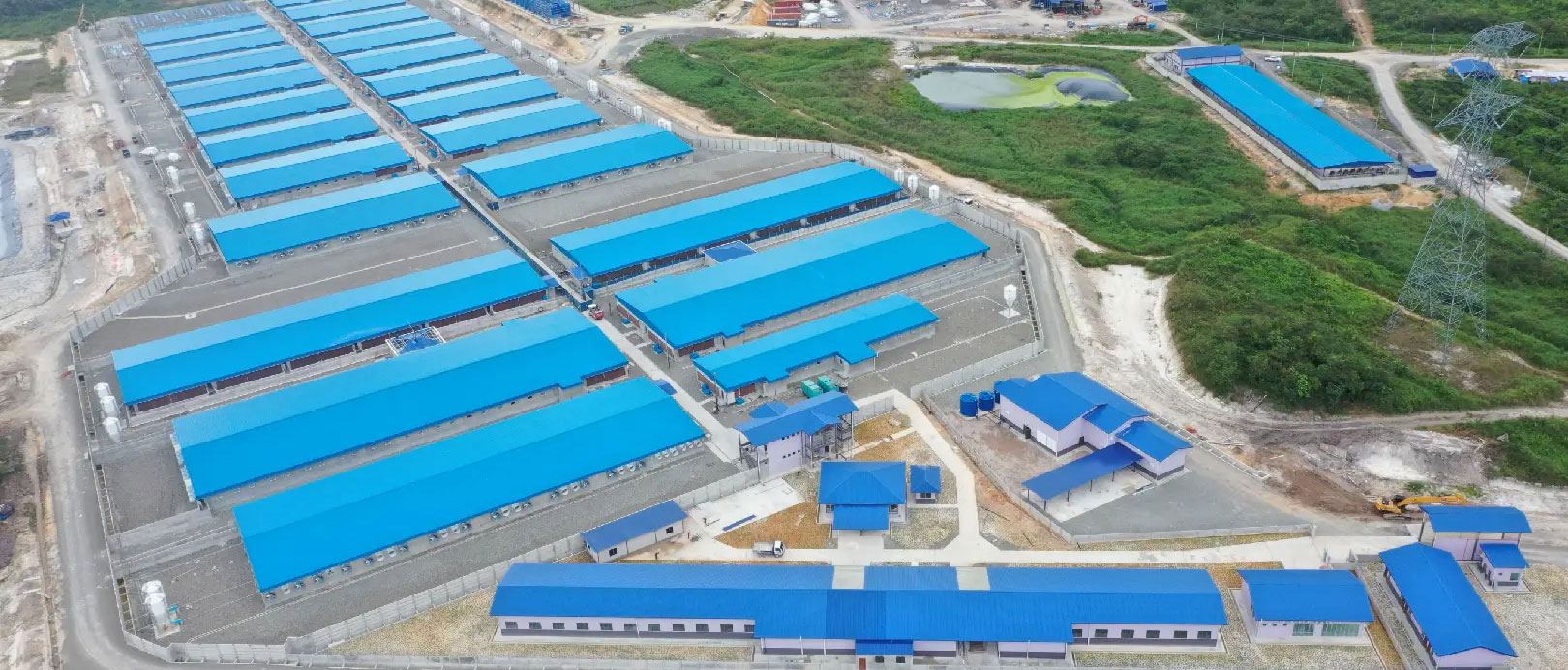 Dự &aacute;n trang trại 2.000 con lợn n&aacute;i của Malaysia
