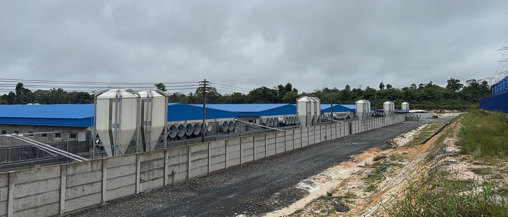Dự &aacute;n trang trại 2.000 con lợn n&aacute;i của Malaysia