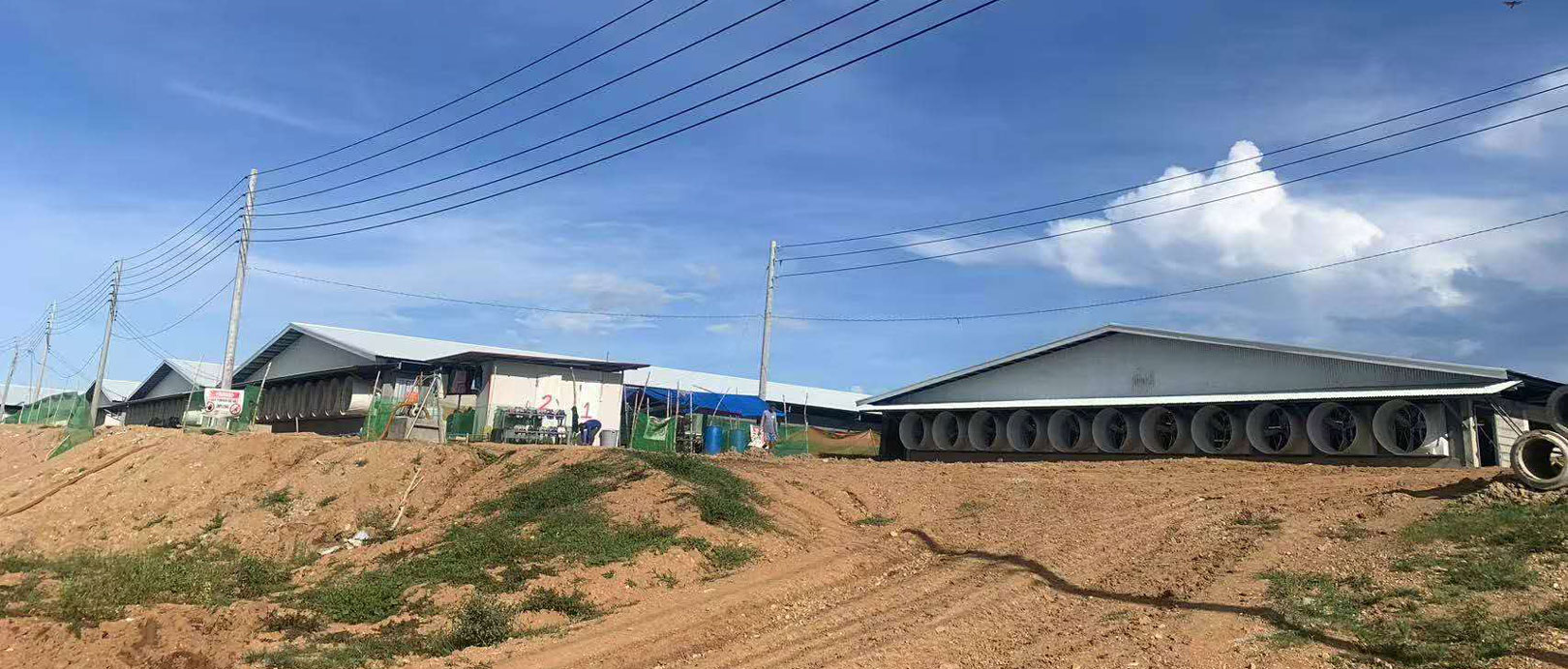 Dự &aacute;n trang trại 3.000 con lợn n&aacute;i ở Philippines