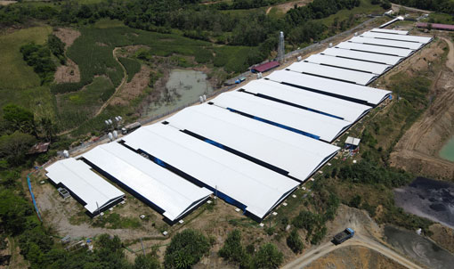 Dự &aacute;n trang trại 3.000 con lợn n&aacute;i ở Philippines
