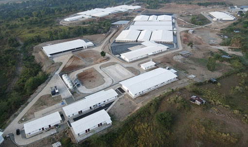Dự &aacute;n trang trại nu&ocirc;i lợn n&aacute;i 5.000 con của Philippines