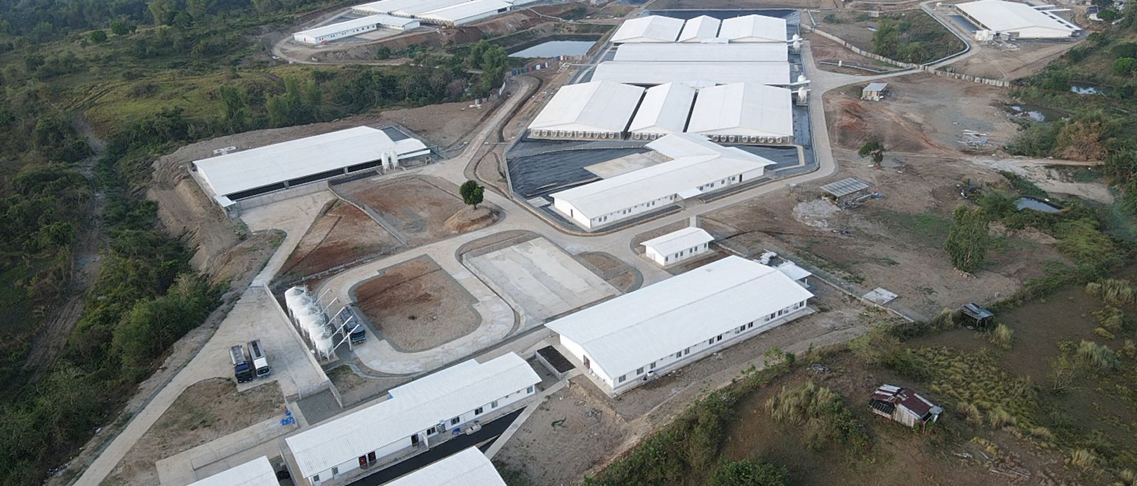 Dự &aacute;n trang trại nu&ocirc;i lợn n&aacute;i 5.000 con của Philippines