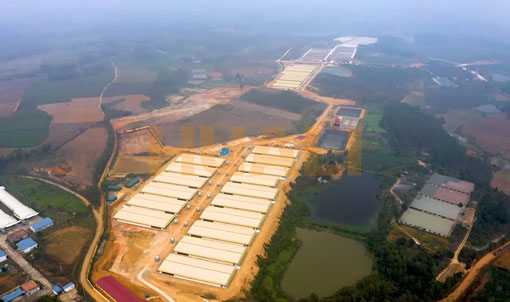 Dự &aacute;n trang trại nu&ocirc;i vỗ b&eacute;o Việt Nam