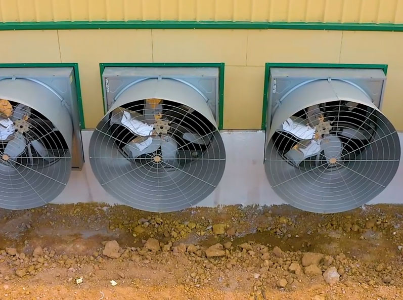 Dự án trang trại nuôi vỗ béo Việt Nam