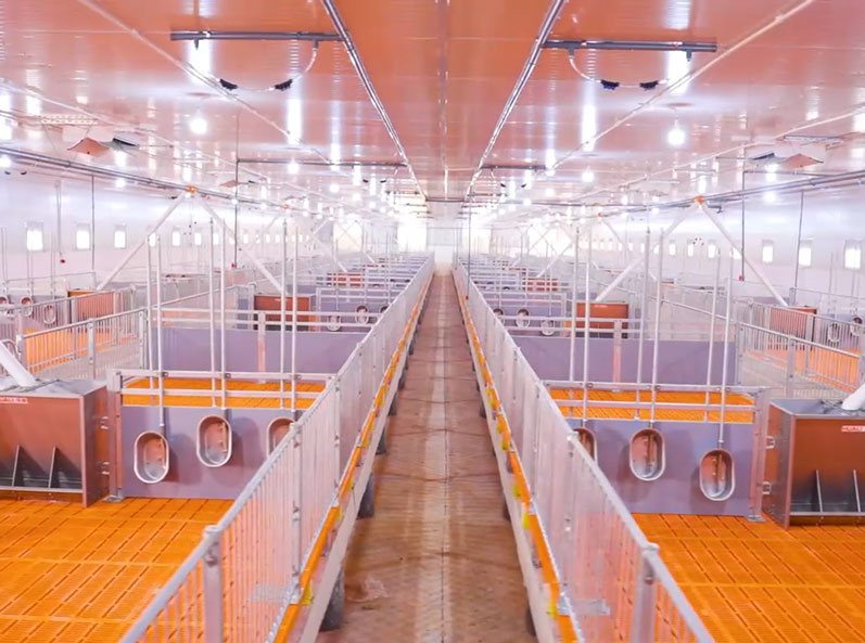Dự án trang trại nuôi vỗ béo Việt Nam
