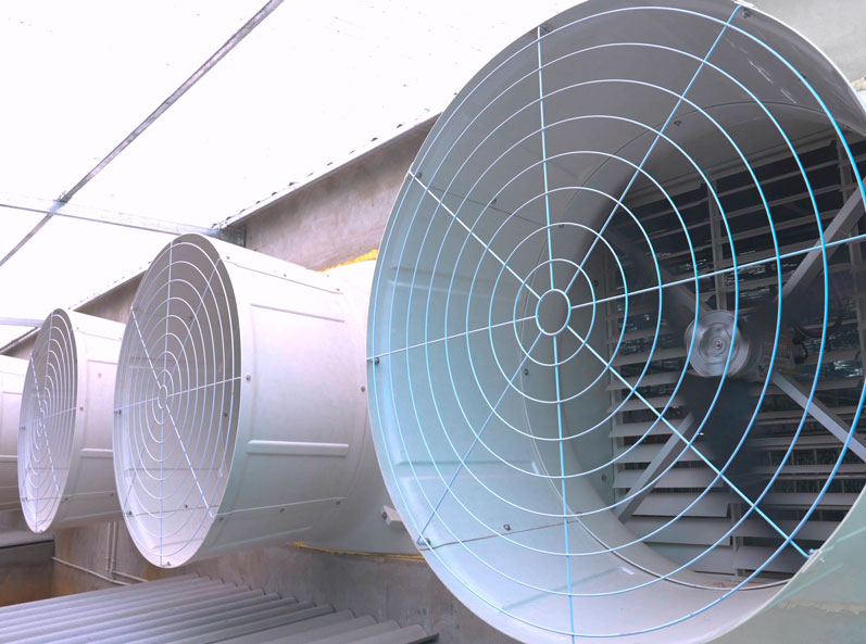 Dự án EPC thiết bị trang trại chăn nuôi lợn tại Việt Nam