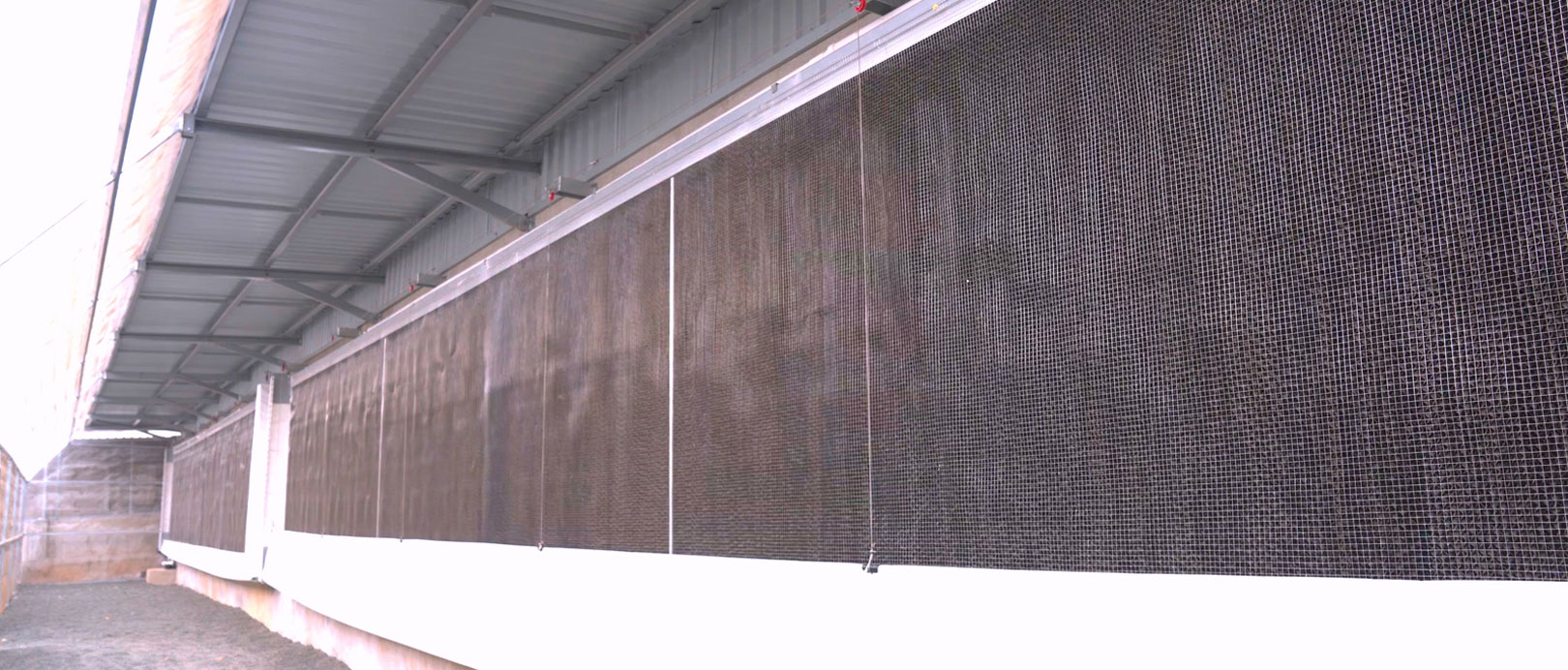 Dự &aacute;n EPC thiết bị trang trại chăn nu&ocirc;i lợn tại Việt Nam