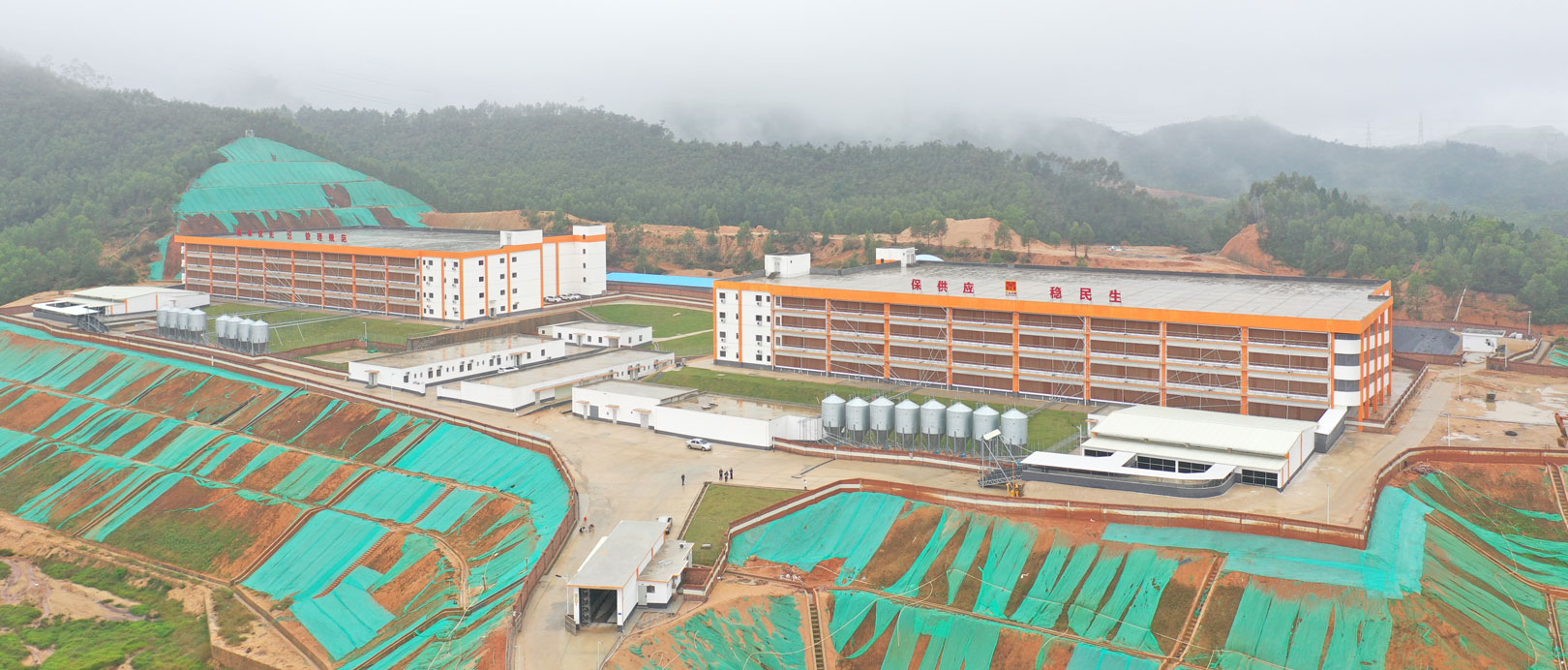 Dự &aacute;n trang trại chăn nu&ocirc;i lợn nhiều tầng Jinxinnong, Quảng Đ&ocirc;ng