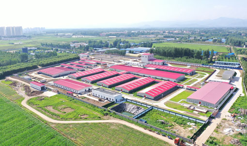 Cơ sở th&iacute; nghiệm dự &aacute;n chăn nu&ocirc;i CAU Zhuozhou, H&agrave; Bắc