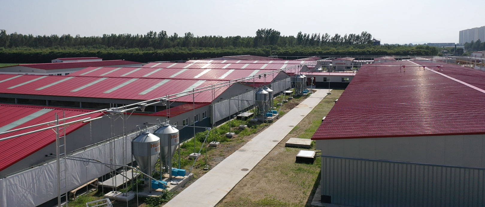 Cơ sở th&iacute; nghiệm dự &aacute;n chăn nu&ocirc;i CAU Zhuozhou, H&agrave; Bắc