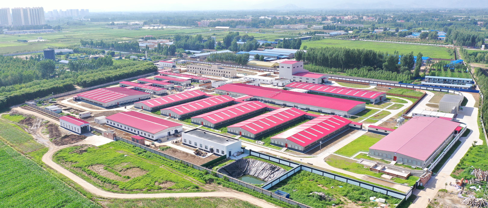 Cơ sở th&iacute; nghiệm dự &aacute;n chăn nu&ocirc;i CAU Zhuozhou, H&agrave; Bắc