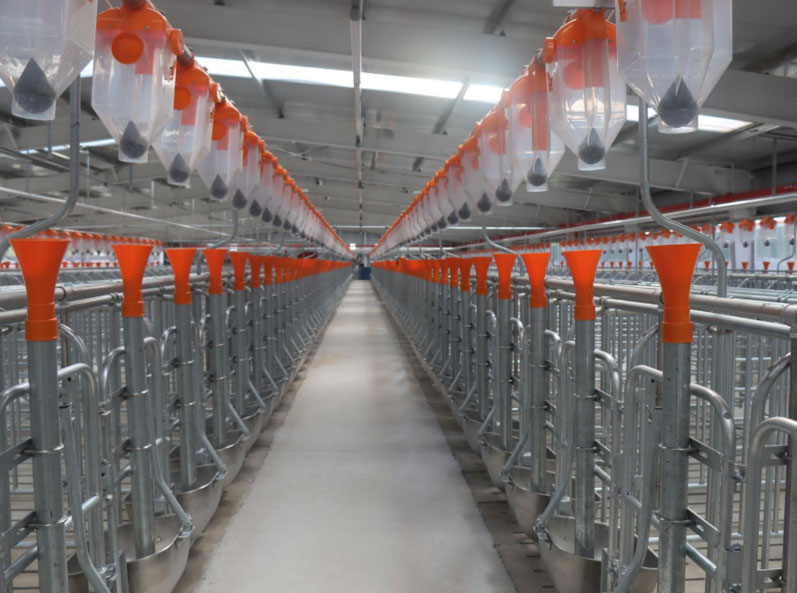 Cơ sở th&iacute; nghiệm dự &aacute;n chăn nu&ocirc;i CAU Zhuozhou, H&agrave; Bắc