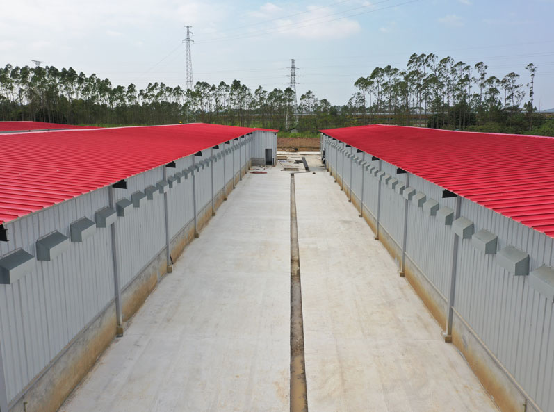 Dự &aacute;n chăn nu&ocirc;i g&agrave; đẻ quy m&ocirc; 3,6 triệu con theo chuỗi c&ocirc;ng nghiệp ho&agrave;n chỉnh Guigang Tongfa