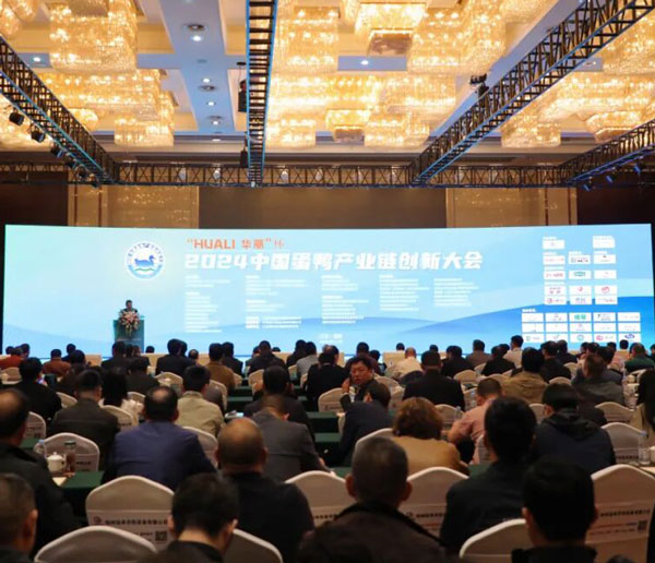 "Công nghệ thúc đẩy sự phát triển, đổi mới định hình tương lai | Huali thảo luận về chuỗi ngành công nghiệp trứng vịt với bạn"