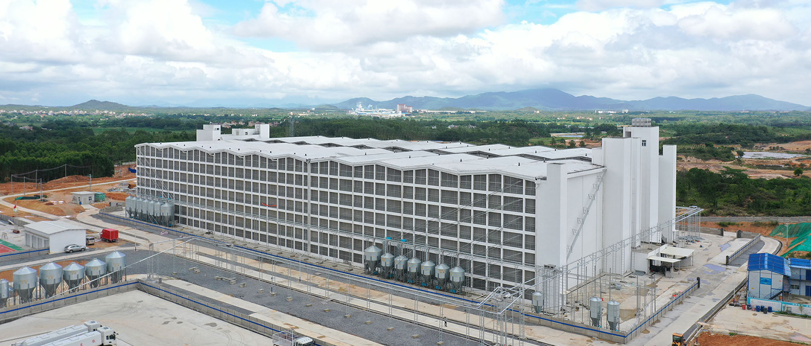 Dự &aacute;n chăn nu&ocirc;i lợn 500.000 con Tangrenshen