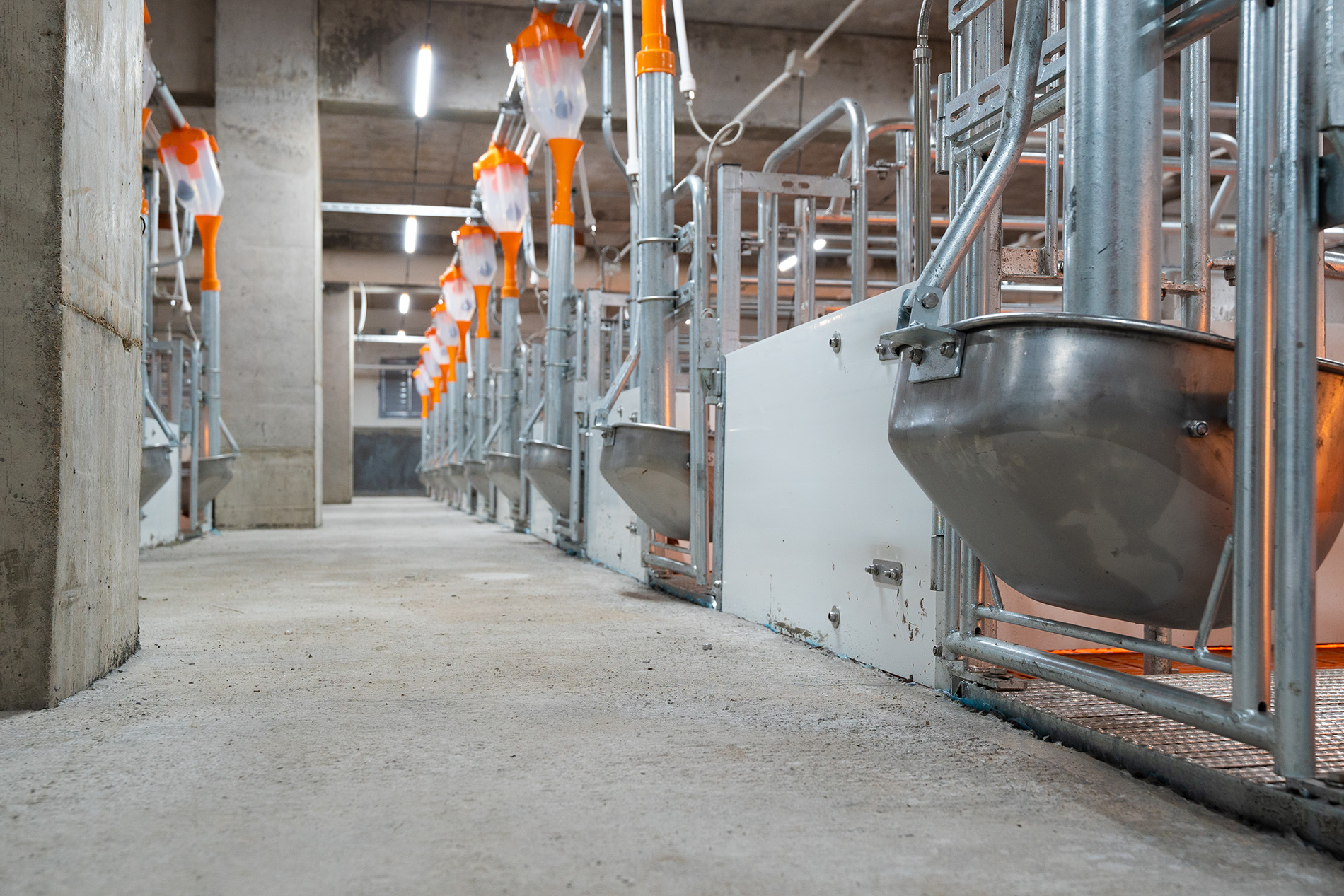 Dự án EPC trang trại Aonong 10.000 Sows Farm