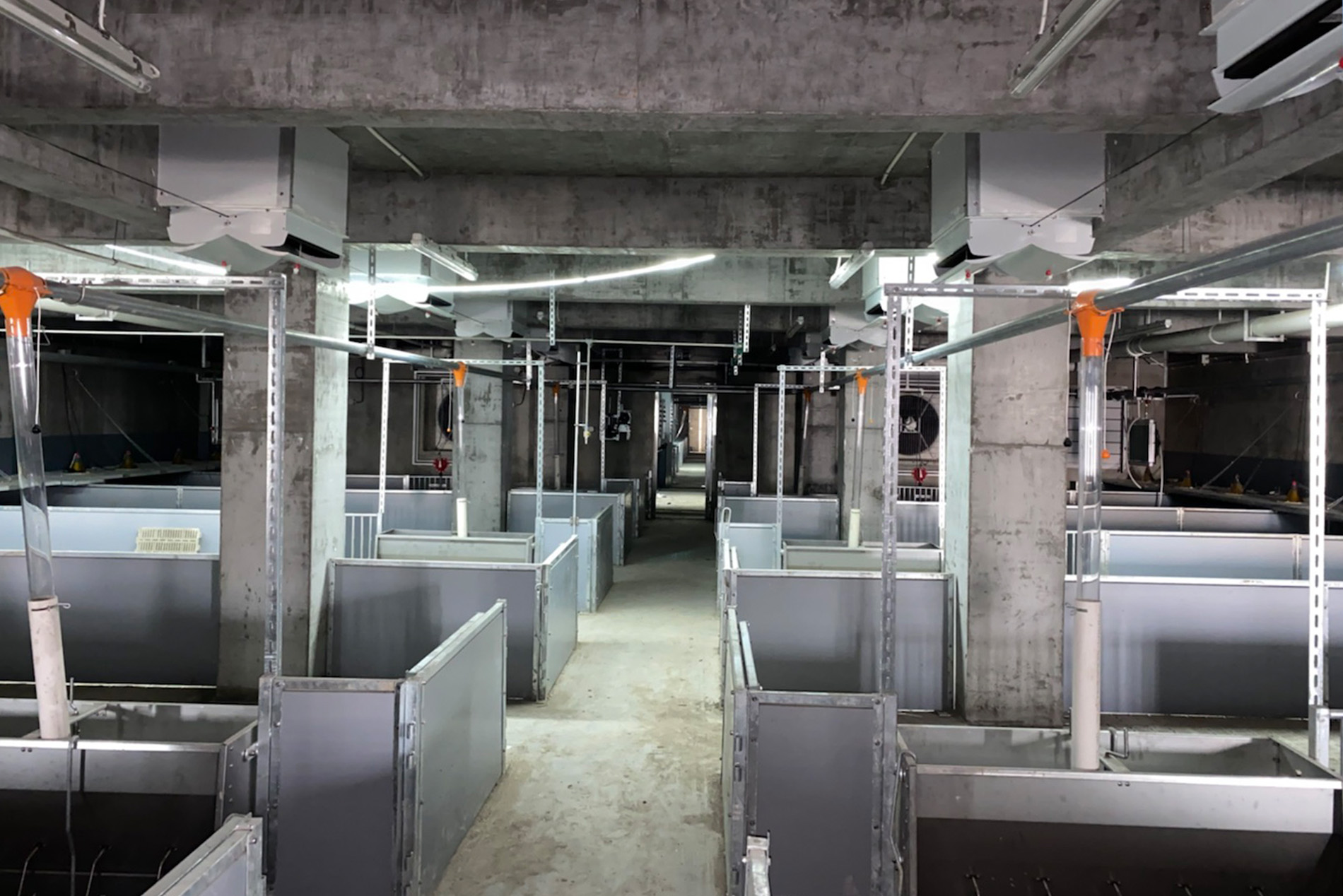 Dự &aacute;n nh&agrave; cao tầng Dekon