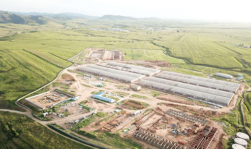 Dự &aacute;n chăn nu&ocirc;i Wens