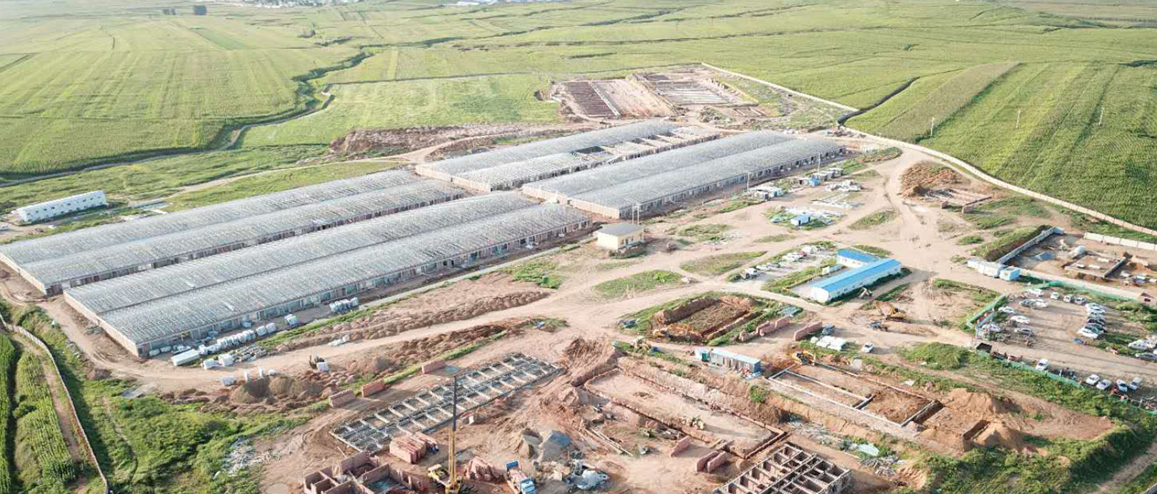 Dự &aacute;n chăn nu&ocirc;i Wens